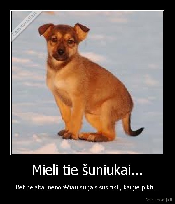 suo,zmogus,baime,agresija