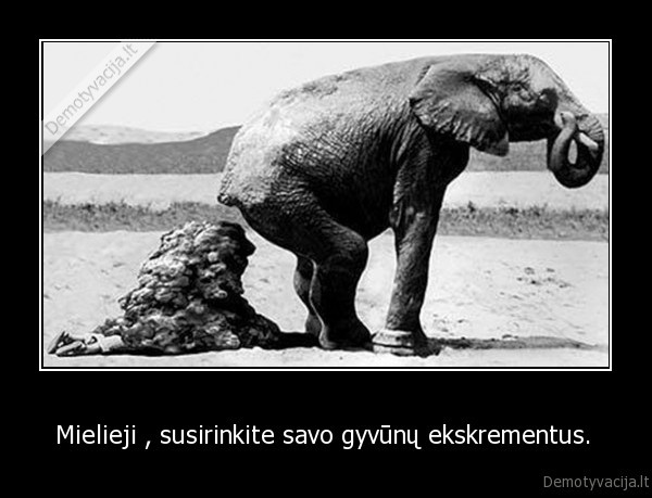 Mielieji , susirinkite savo gyvūnų ekskrementus. 