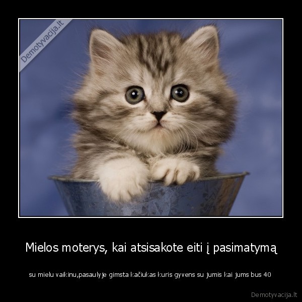 Mielos moterys, kai atsisakote eiti į pasimatymą