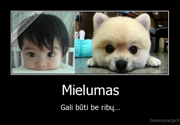 Mielumas