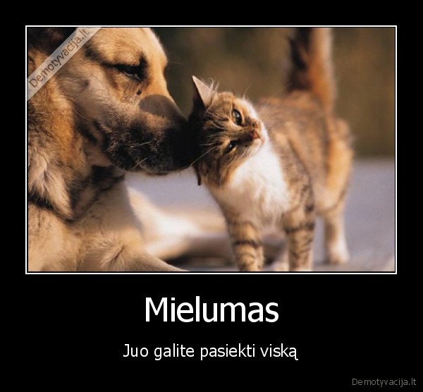 Mielumas