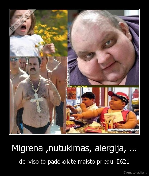 e621, maistas, alergija, nutukimas