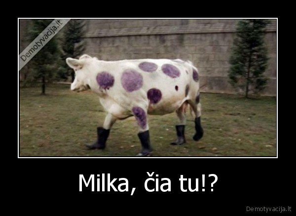 true,story,barnie,gruzinas,pimpals,vatoks,jei,matai,zymes,tu,gausi,i,galva
