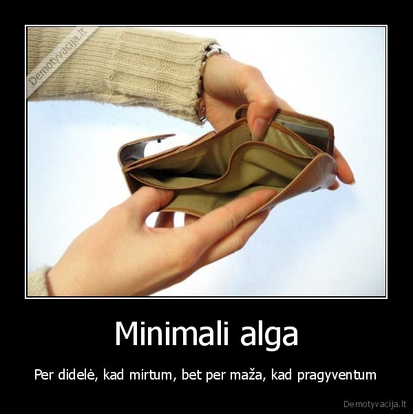 Minimali alga