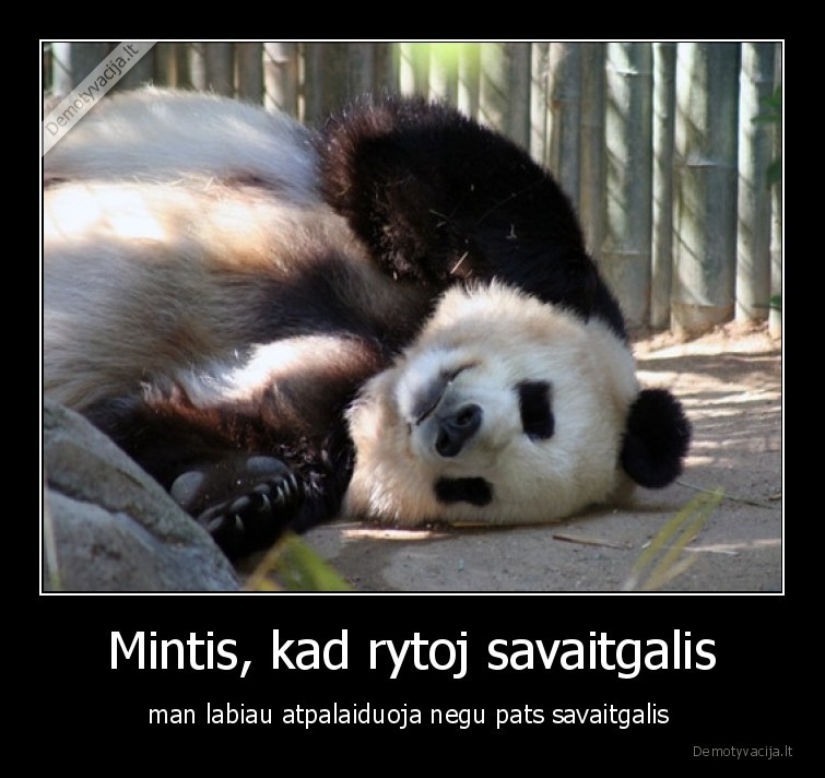 savaitgalis,panda,atsipalaidavimas