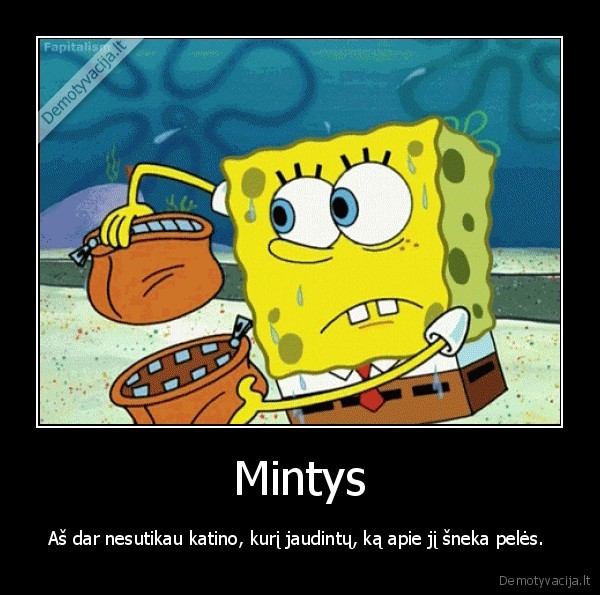 Mintys