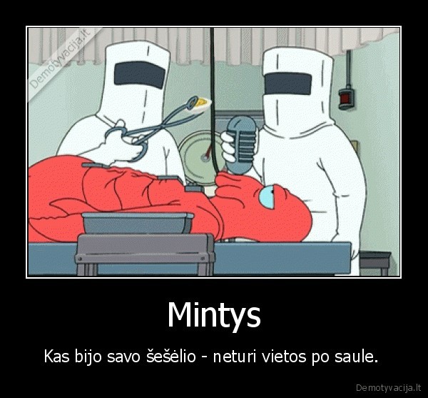 Mintys