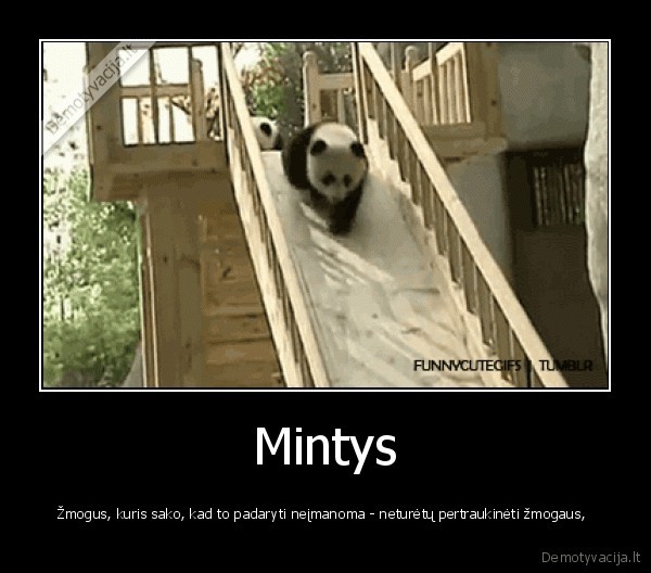 Mintys