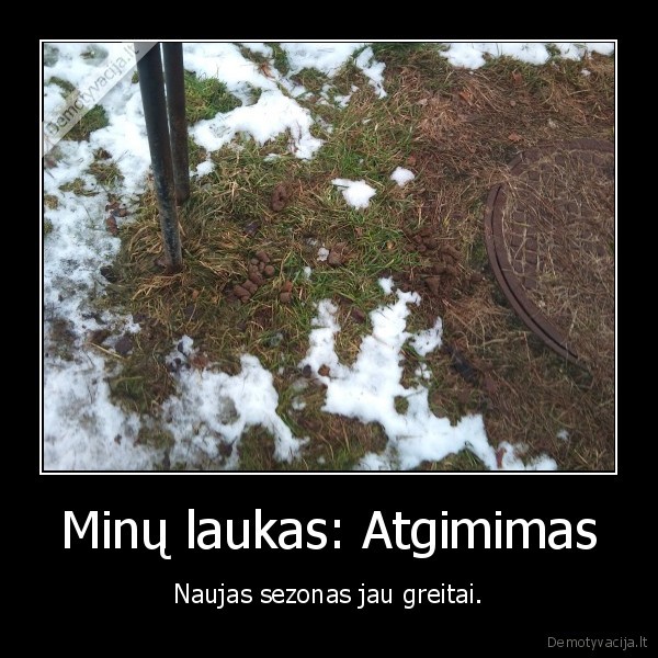 nesik,kubiliui,ant,galvos