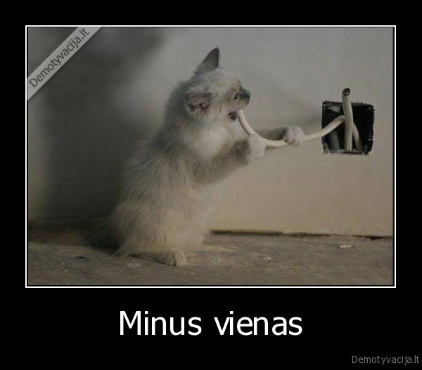 minus, vienas,nutrenke, elektra,valgyti, laidus,nugrauzti, laidai