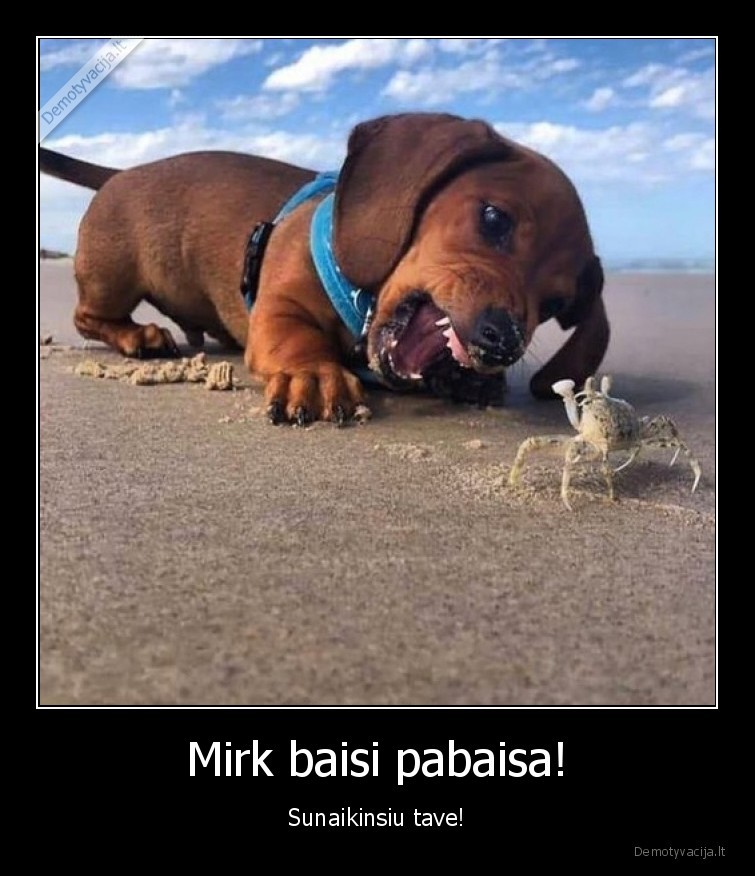 suo,krabas,pabaisa