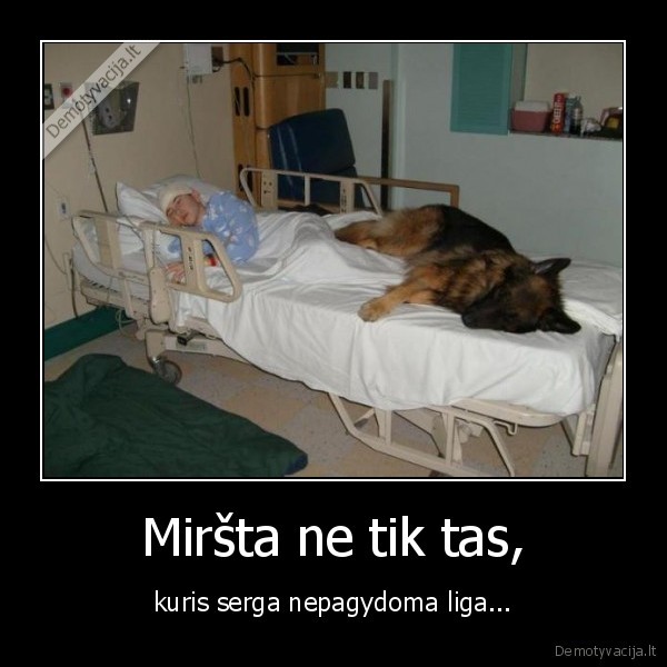 istikimybe,istikimas, suo,mirtina, liga,tikra, draugyste,tikras, draugas