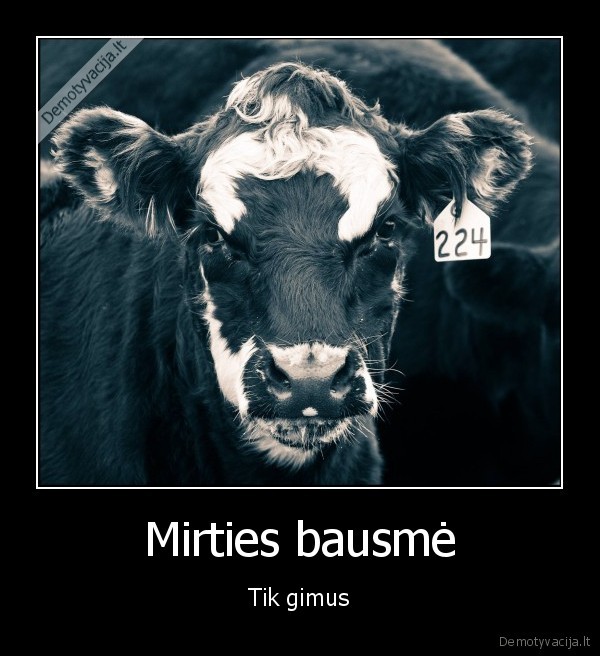 Mirties bausmė