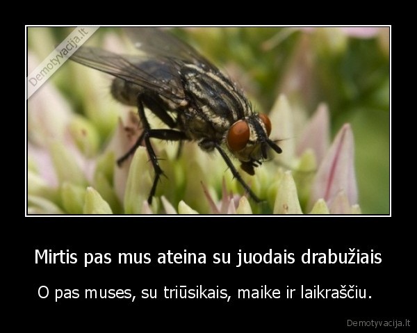 Mirtis pas mus ateina su juodais drabužiais