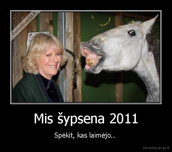 Mis šypsena 2011