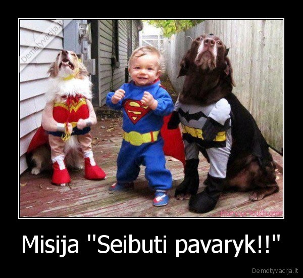 Misija ''Seibuti pavaryk!!''