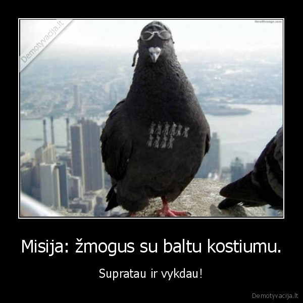 humoras