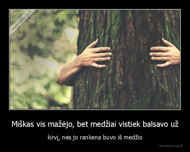 medziai,miskas,rinkimai