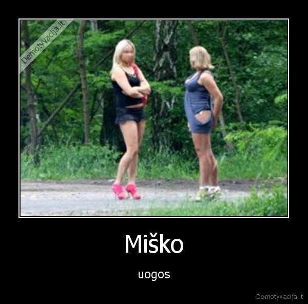 uogis,miskas