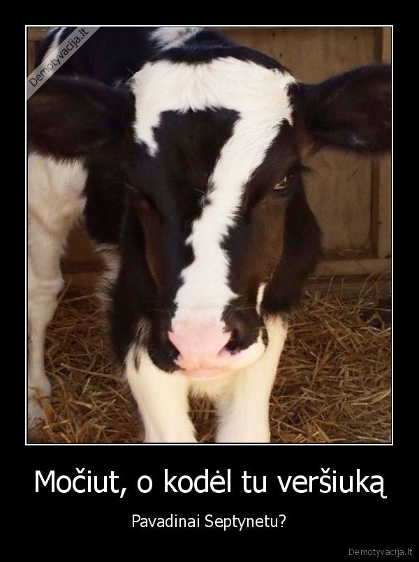 pazenklintas, teliukas,versiukas,septyni