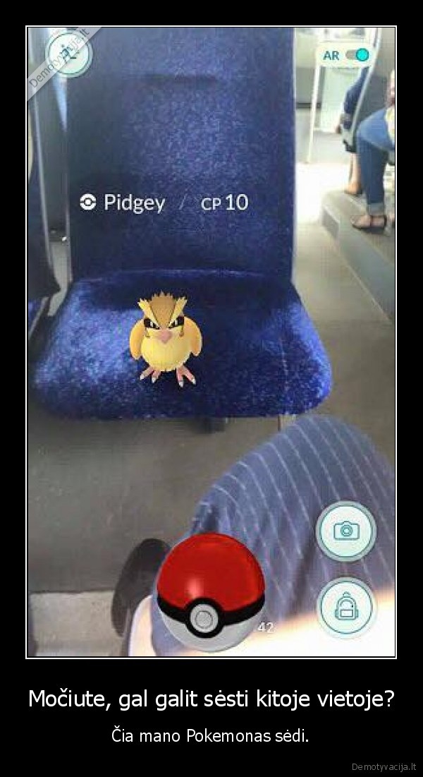 pokemon, go,pokemonai,viesasis, transportas