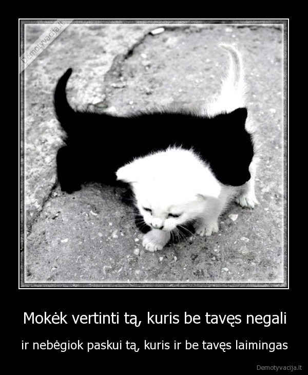 Mokėk vertinti tą, kuris be tavęs negali