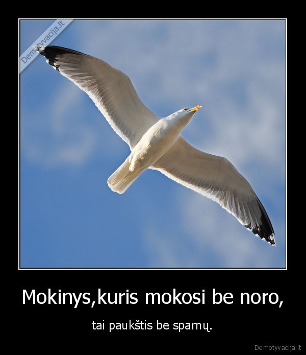Mokinys,kuris mokosi be noro,