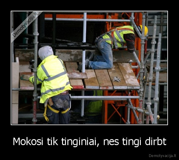 Mokosi tik tinginiai, nes tingi dirbt