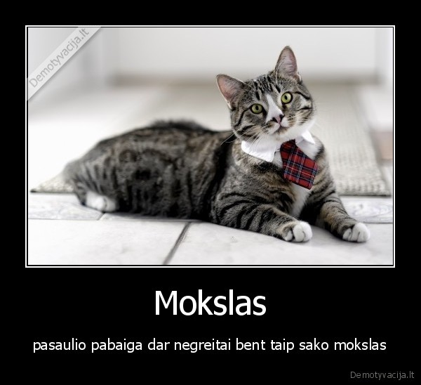 kaciukas