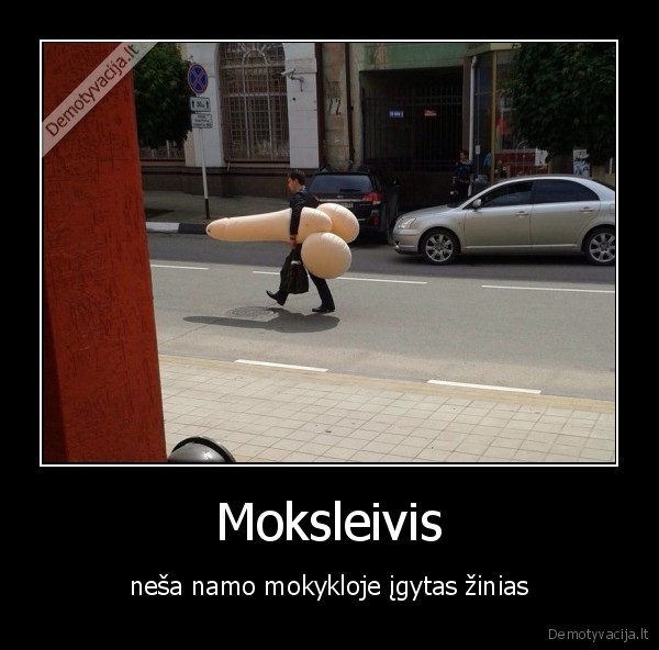 zinios,mokykla