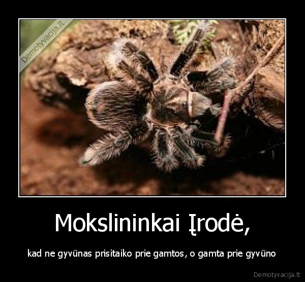 Mokslininkai Įrodė,