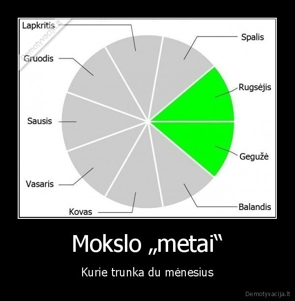 mokymasis, tik, metu, pradzioje, ir, pabaigoje