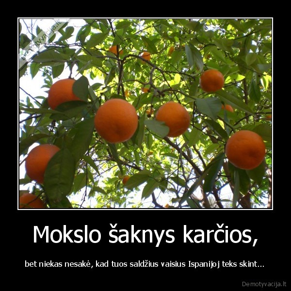 mokslas,apelsinai,ispanija