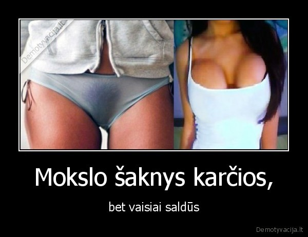 saknys,vaisiai
