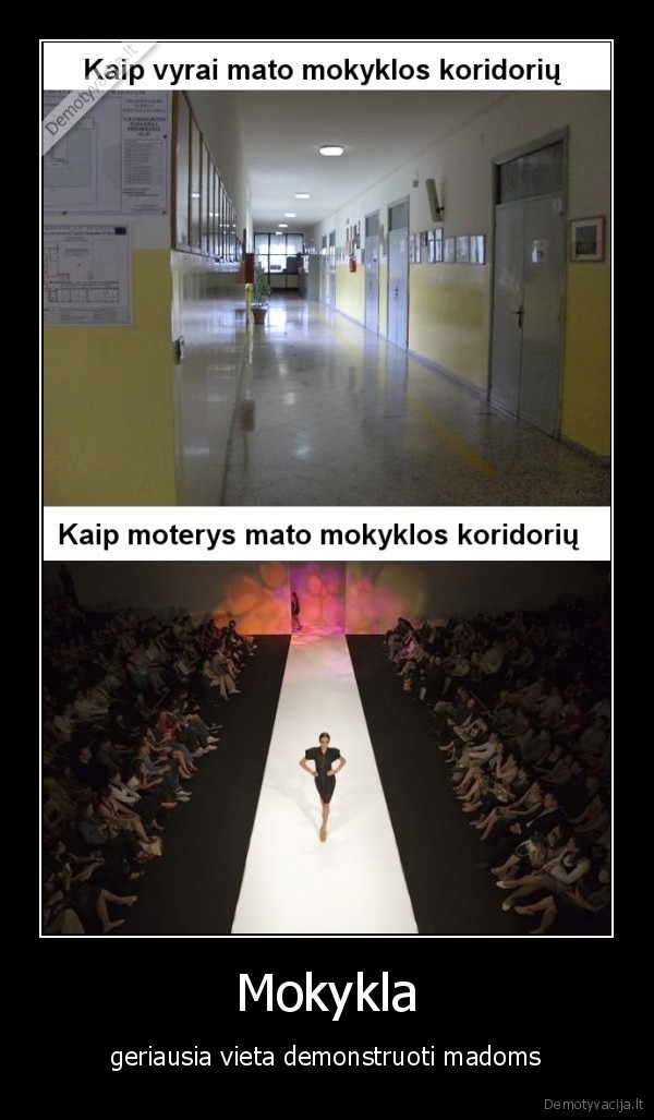 Mokykla