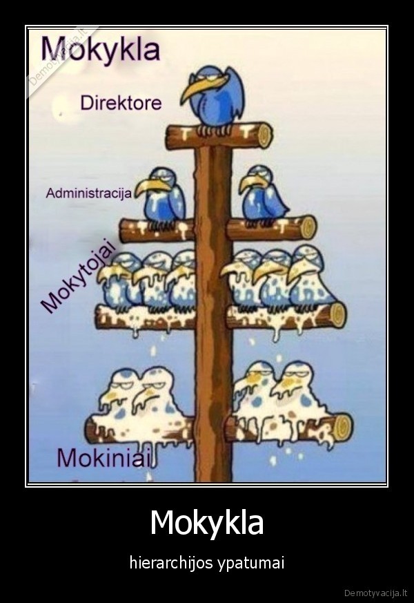 Mokykla