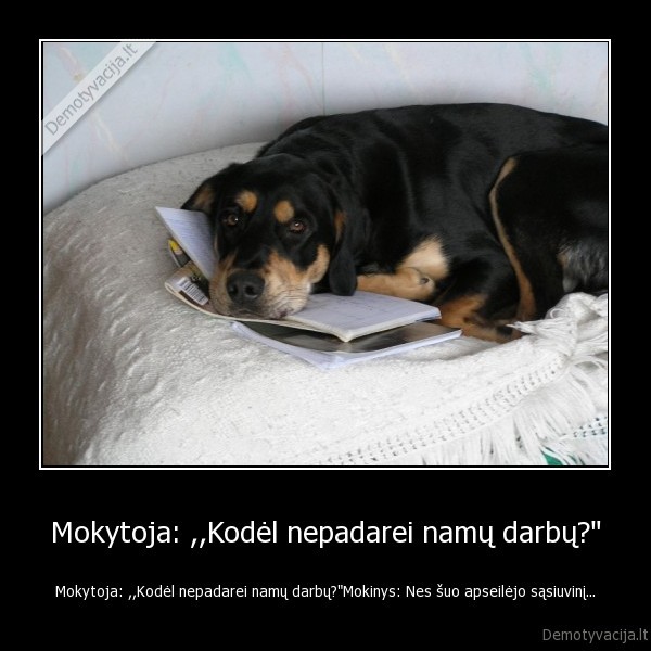 Mokytoja: ,,Kodėl nepadarei namų darbų?&quot;
