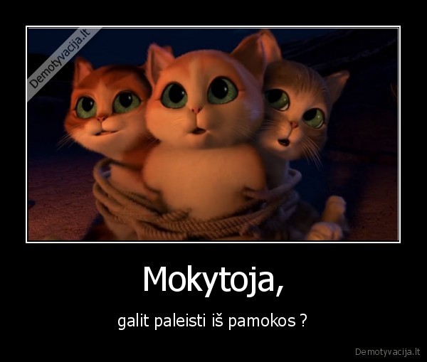 dw, bl,paleiskit