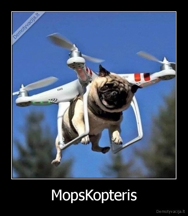 mopsas,dronas