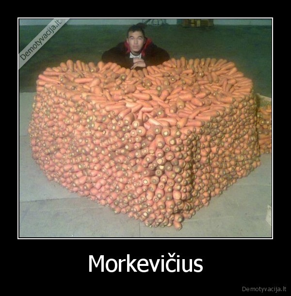 daug, morku,remyga