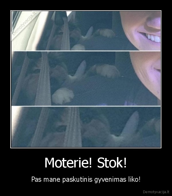 moteris,katinas