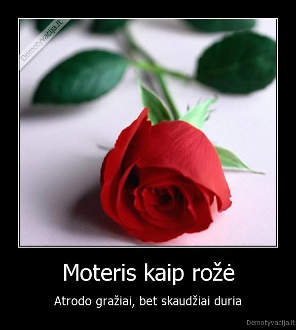 Moteris kaip rožė