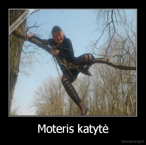 moteris, kate,moteris, medyje,durna, boba