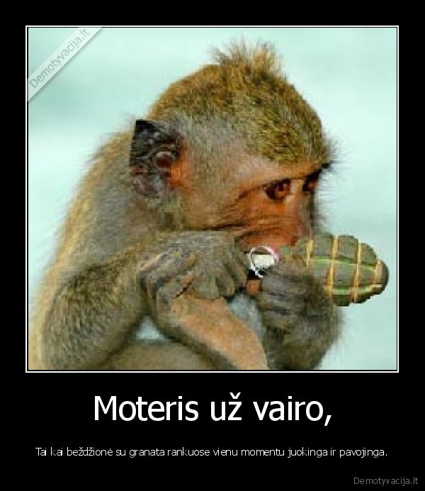 vairas,granata,pzdc