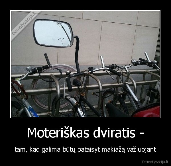 veidrodis,dviratis