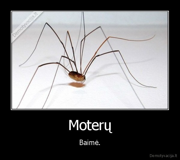 baime,moterys,voras