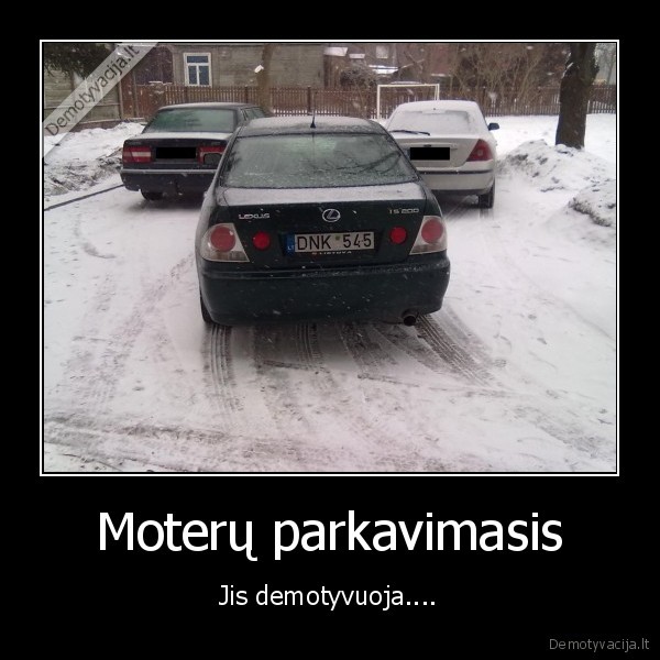 autmobiliai, moterys, parkavimasis, kubilius, seimas