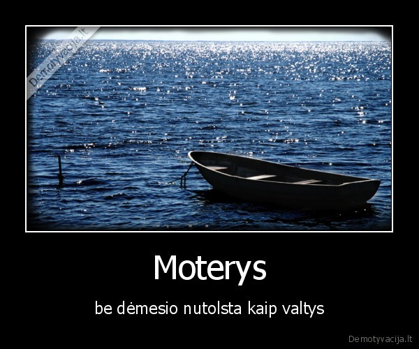 demesys,meile