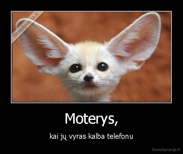 moterys,ausys,zmona,telefonas