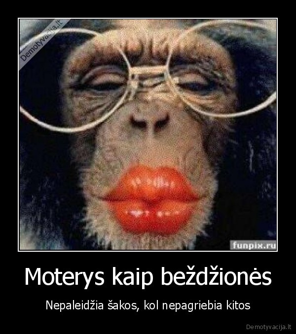 Moterys kaip beždžionės